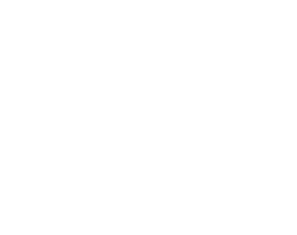 CFM Bridgeport White Logo